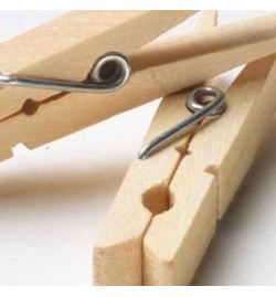 Wooden Pegs 24pcs