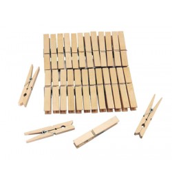 Wooden Pegs 24pcs