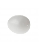 Plastic Egg 45x60mm
