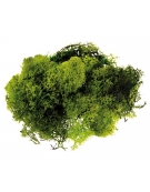 Grass Moss 30gr Light Green