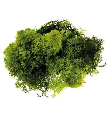 Grass Moss 30gr Light Green