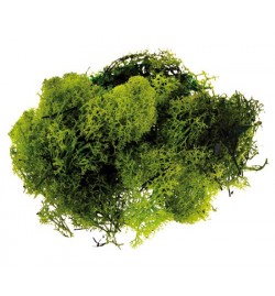 Grass Moss 30gr Dark Green