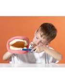 Μοντέλο Στόματος-Δοντιών με Οδοντόβουρτσα