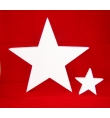 Polystyrene Star Flat 10x10x1.5cm