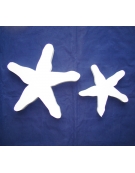 Polystyrene Star Fish Flat 30x3cm