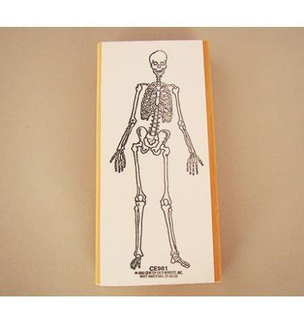 Skeleton Stamp