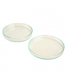 Clear Glass Petri Dish 100x20mm