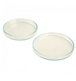 Clear Glass Petri Dish 100x20mm