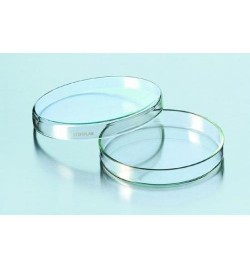 Clear Glass Petri Dish 100x20mm