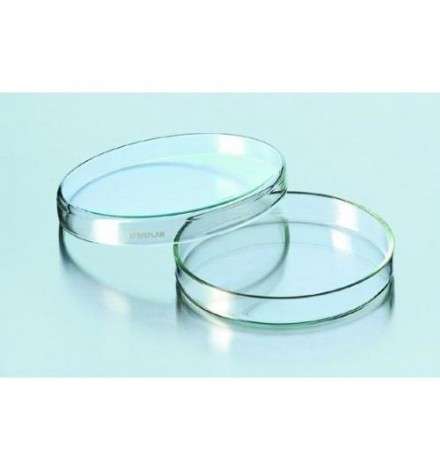 Clear Glass Petri Dish 100x20mm