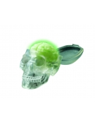 Glow Skull