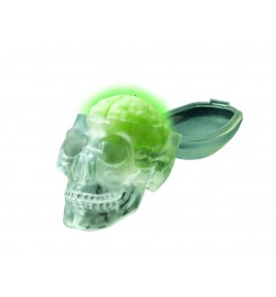 Glow Skull