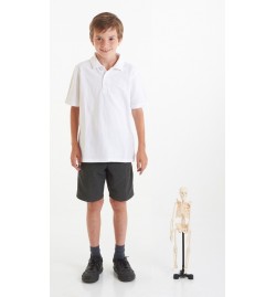 Mini Skeleton 46cm