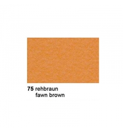 Card Sheet 50x70cm Fawn