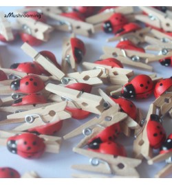 Wooden Ladybird mini Peg 180pcs