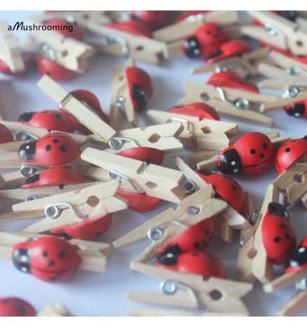 Wooden Ladybird mini Peg 180pcs
