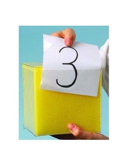 Giant Pocket Dice 125mm 2