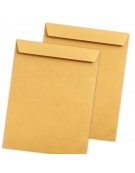 Brown Envelope 16x23cm