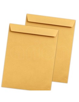 Brown Envelope 16x23cm