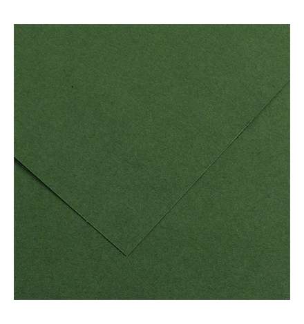 Χαρτόνι 50x70cm Πράσινο σκούρο (Moss) 30