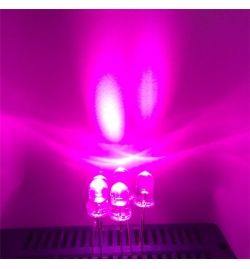 Led 5mm Clear - Pink (6000mcd)