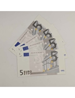 5 Euro Note 25pcs