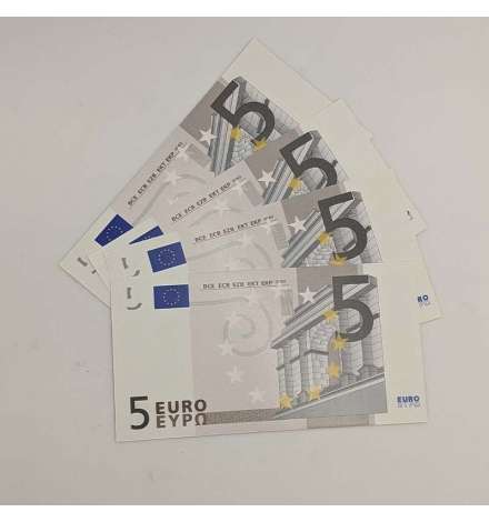 5 Euro Note 25pcs