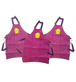 Apron Plastic 56cm