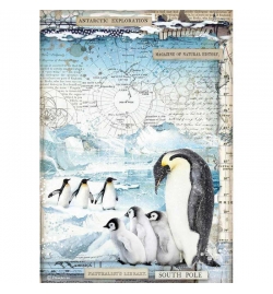 Ricepaper A4: "Penguins"