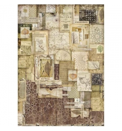 Ricepaper A3: "Forest frames"