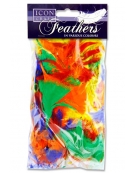 Feathers 28gr Assorted Colored