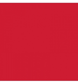 Acrylic Enamel Paint 100gr Bright Red (44)