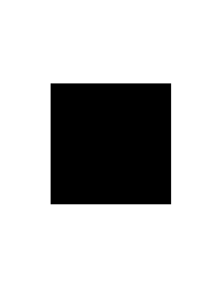 Acrylic Enamel Paint 100gr Black (43)