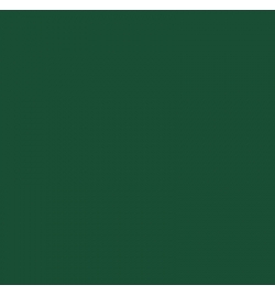 Acrylic Enamel Paint 100gr Brunswick Green (42)