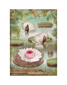 Ricepaper A4: "Amazonia water lily