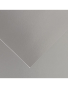 Card Sheet 280gr 50x65cm Canson - Silver