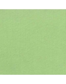 Paper Roll 100cm x 3m Green