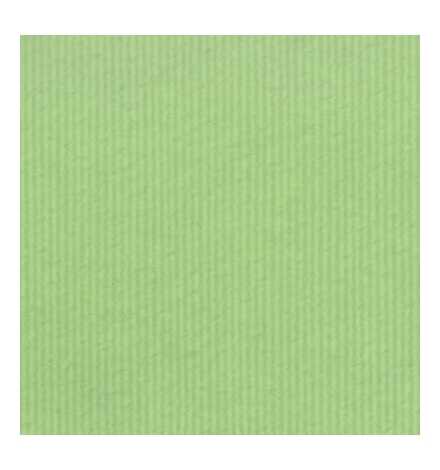 Paper Roll 100cm x 3m Green