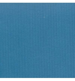 Paper Roll 100cm x 3m Blue