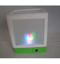 Rainbow Light Led Flashing Kit