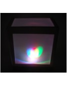 Rainbow Light Led Flashing Kit