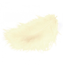 Feathers 12cm 17pcs - White - Meyco