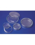 Clear Glass Petri Dish 100x10mm
