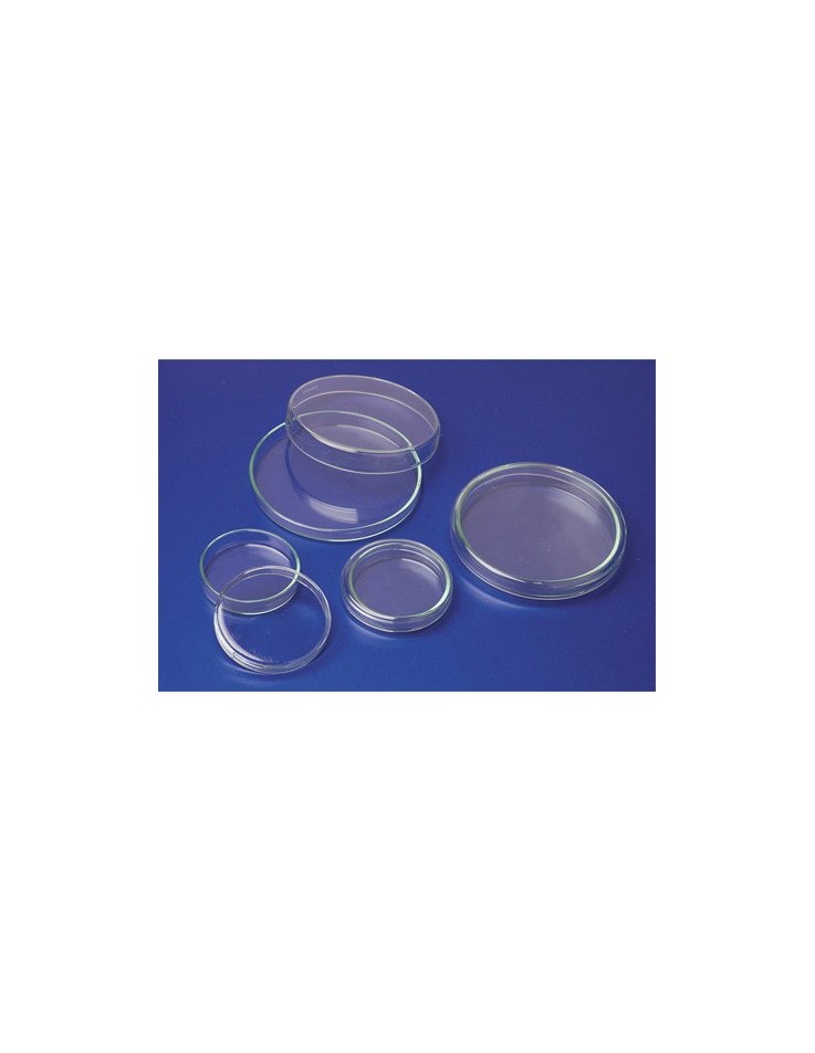 Clear Glass Petri Dish 100x10mm