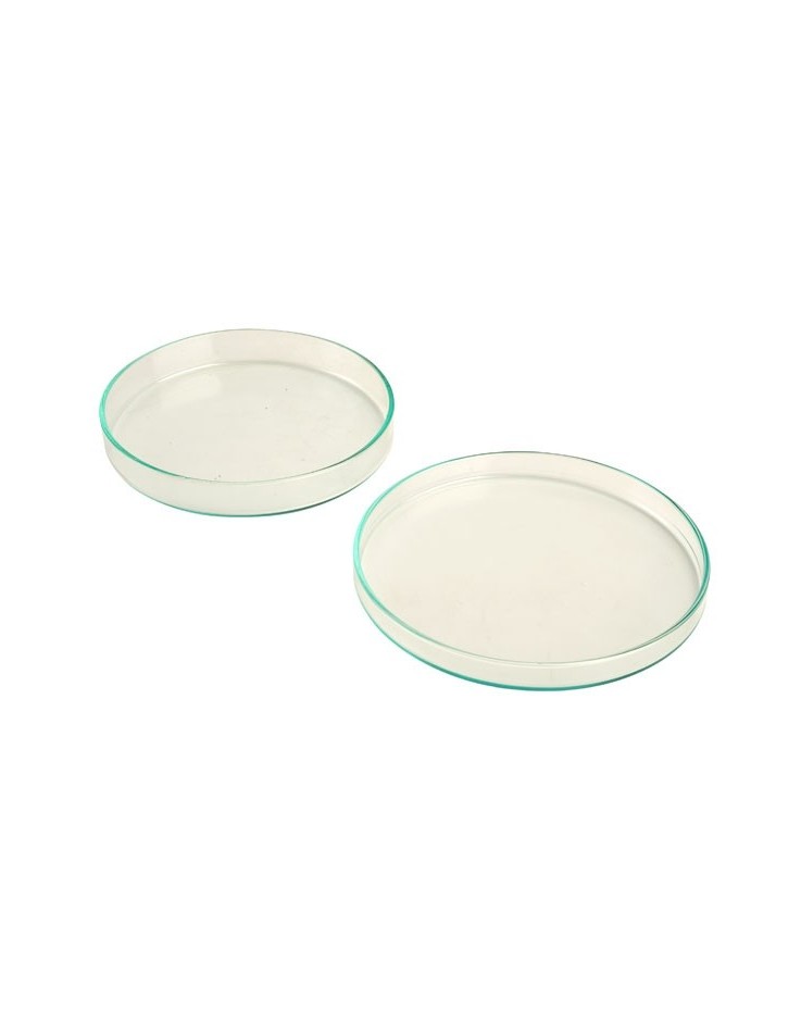 Clear Glass Petri Dish 100x10mm