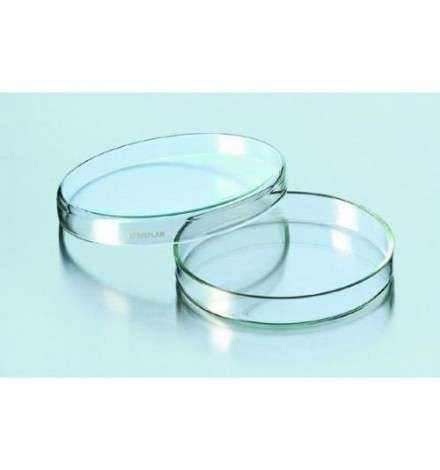 Clear Glass Petri Dish 100x10mm