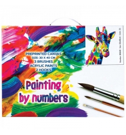 Painting by numbers on Canvas Set