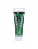 Acrylic Paint Graduate 120ml - Sap Green