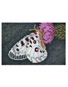 Hama Beads Art - Butterfly