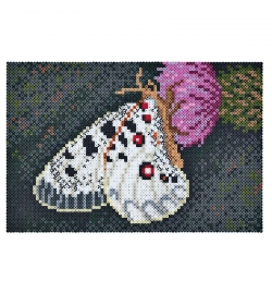 Hama Beads Art - Butterfly